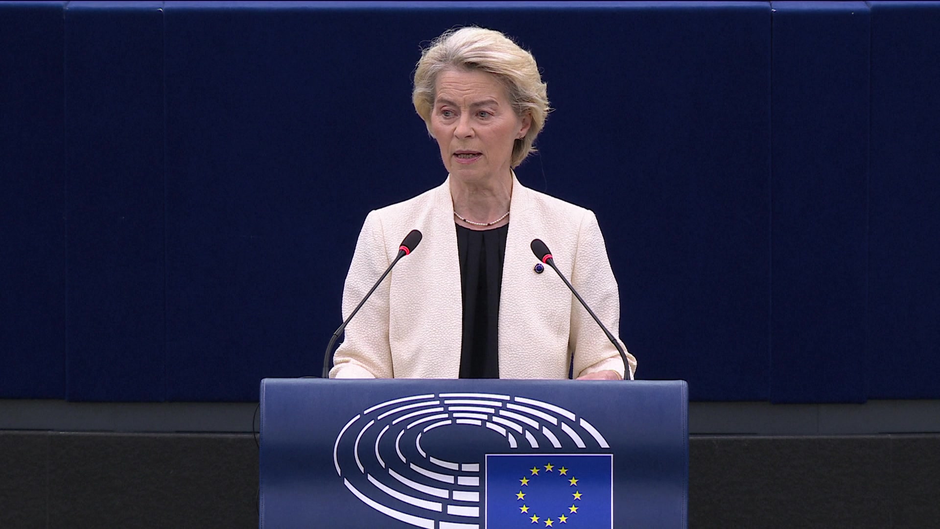EU support for a just, sustainable and comprehensive peace in Ukraine: extracts from the debate